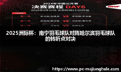 2025洲际杯：南宁羽毛球队对阵哈尔滨羽毛球队的转折点对决
