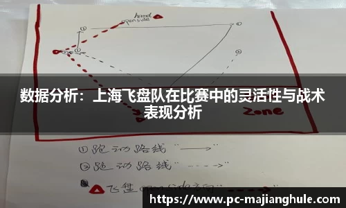 数据分析：上海飞盘队在比赛中的灵活性与战术表现分析